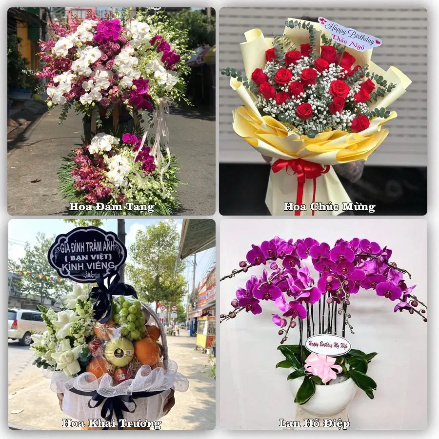Tư vấn chọn hoa theo người nhận và dịp tặng tại Phường Mỹ Thượng - Thành phố Huế