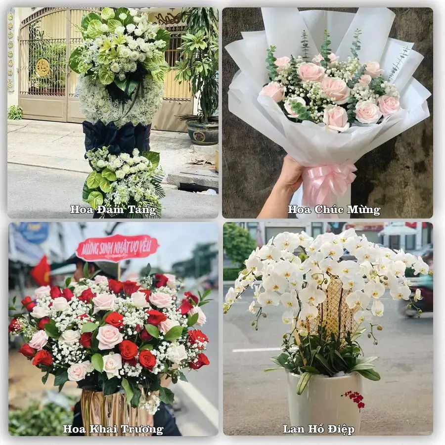 Dịch vụ đặt hoa và giao tận nơi tại Xã Sơn Đồng - Thành phố Hà Nội