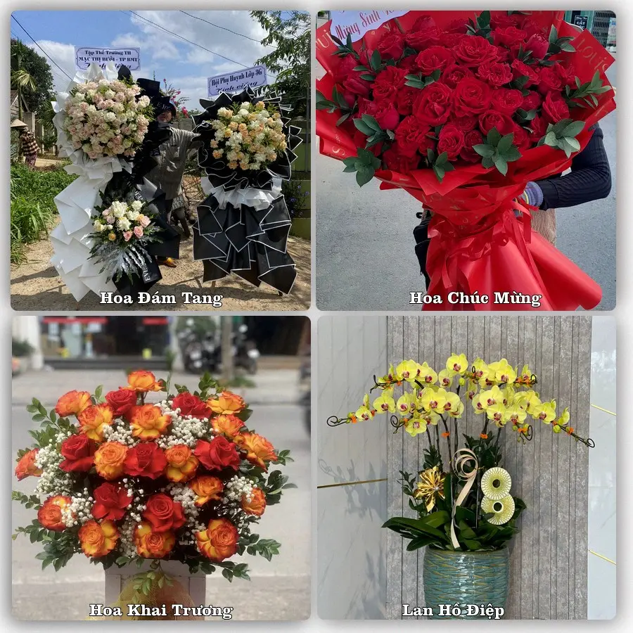 Tư vấn chọn hoa theo người nhận và dịp tặng tại Xã Sơn Đồng - Thành phố Hà Nội