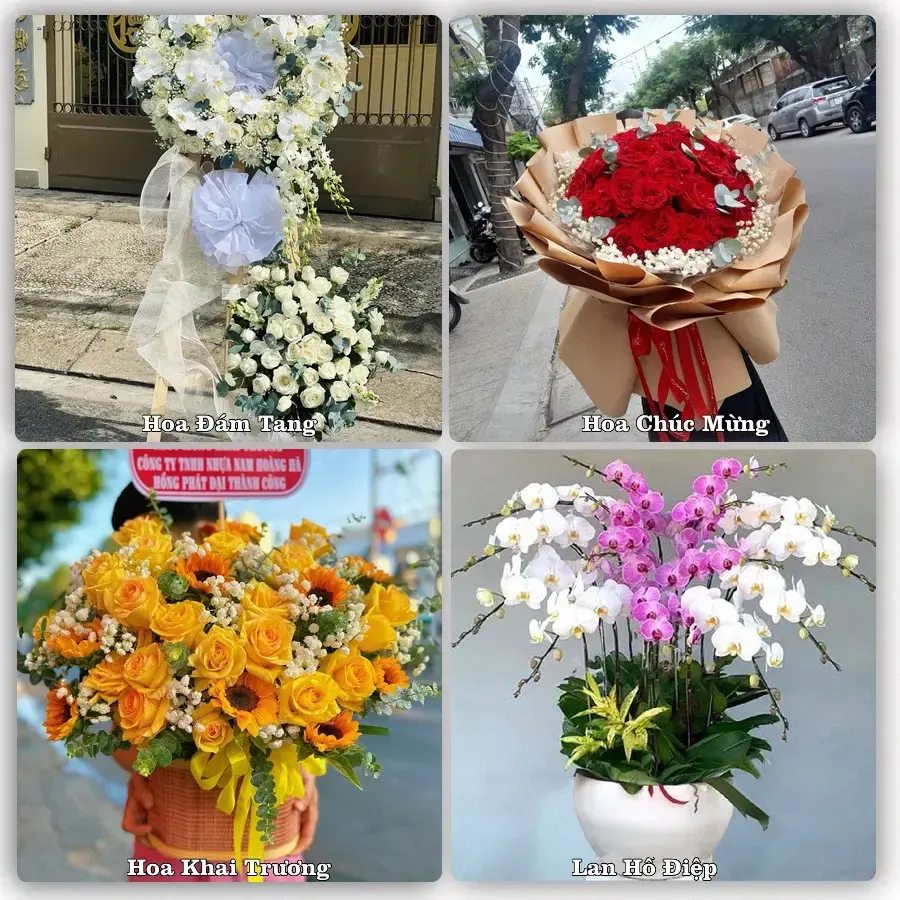 Tư vấn chọn hoa theo người nhận và dịp tặng tại Phường Tam Long - Thành phố Hồ Chí Minh