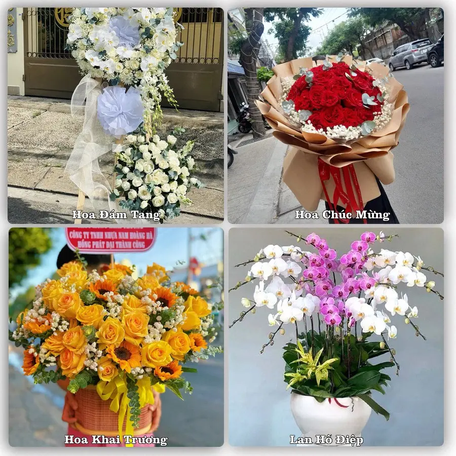 Tư vấn chọn hoa theo người nhận và dịp tặng tại Phường Tam Long - Thành phố Hồ Chí Minh