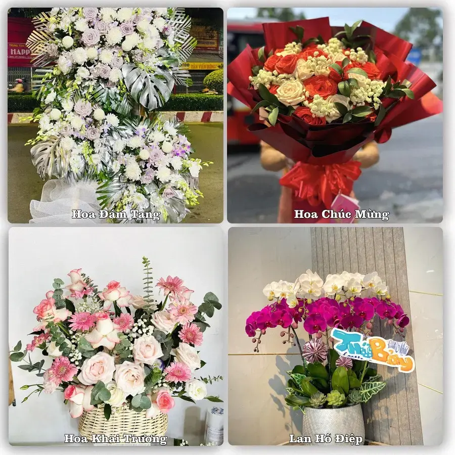 Shop hoa Xã Tiên Trang, Thanh Hóa – tư vấn mẫu, giao tận nơi