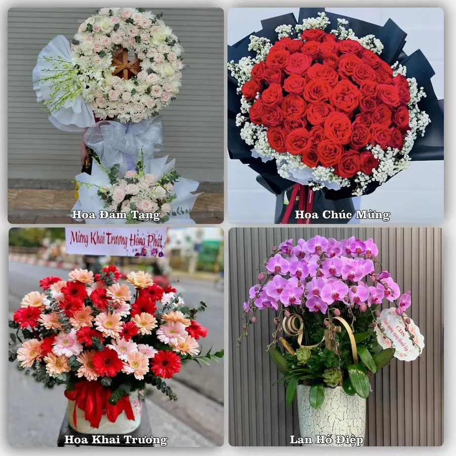 Tư vấn chọn hoa theo người nhận và dịp tặng tại Xã Tiên Trang - Tỉnh Thanh Hóa