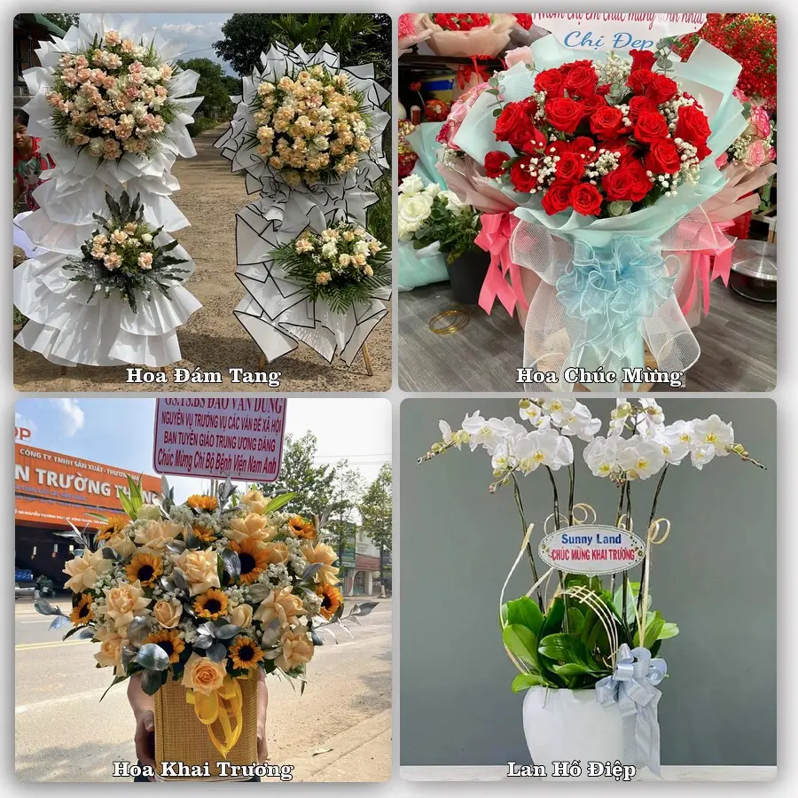 Mẫu hoa phục vụ nhu cầu đặt hoa tại Xã Tuy Phước Bắc - Tỉnh Gia Lai