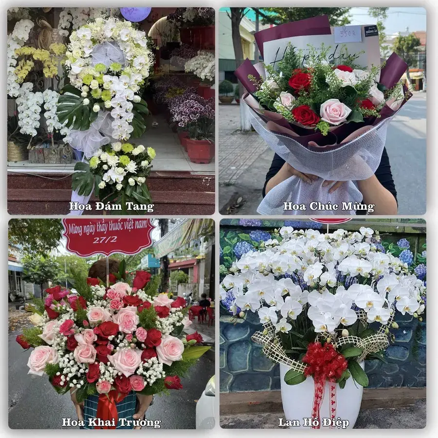 Shop hoa Xã Yên Khánh, Ninh Bình – tư vấn mẫu, giao tận nơi