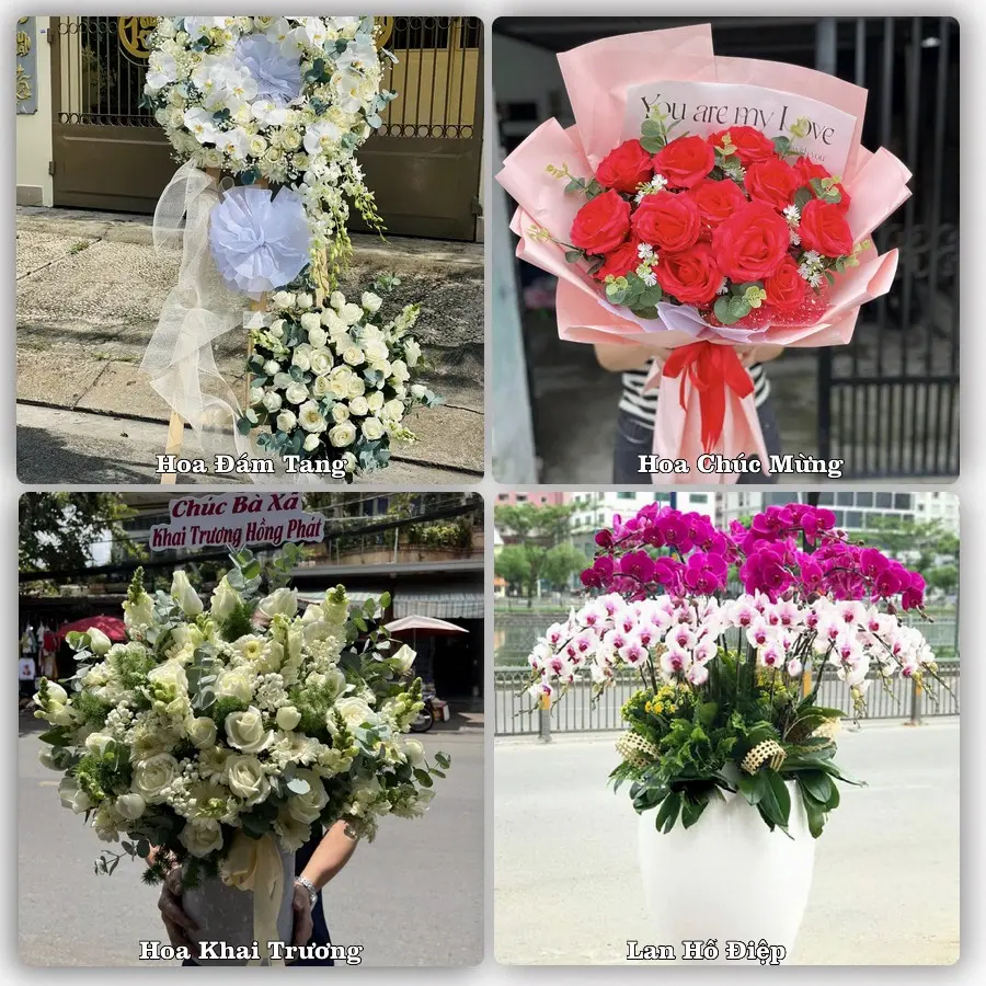 Tư vấn chọn hoa theo người nhận và dịp tặng tại Phường Cai Lậy - Tỉnh Đồng Tháp