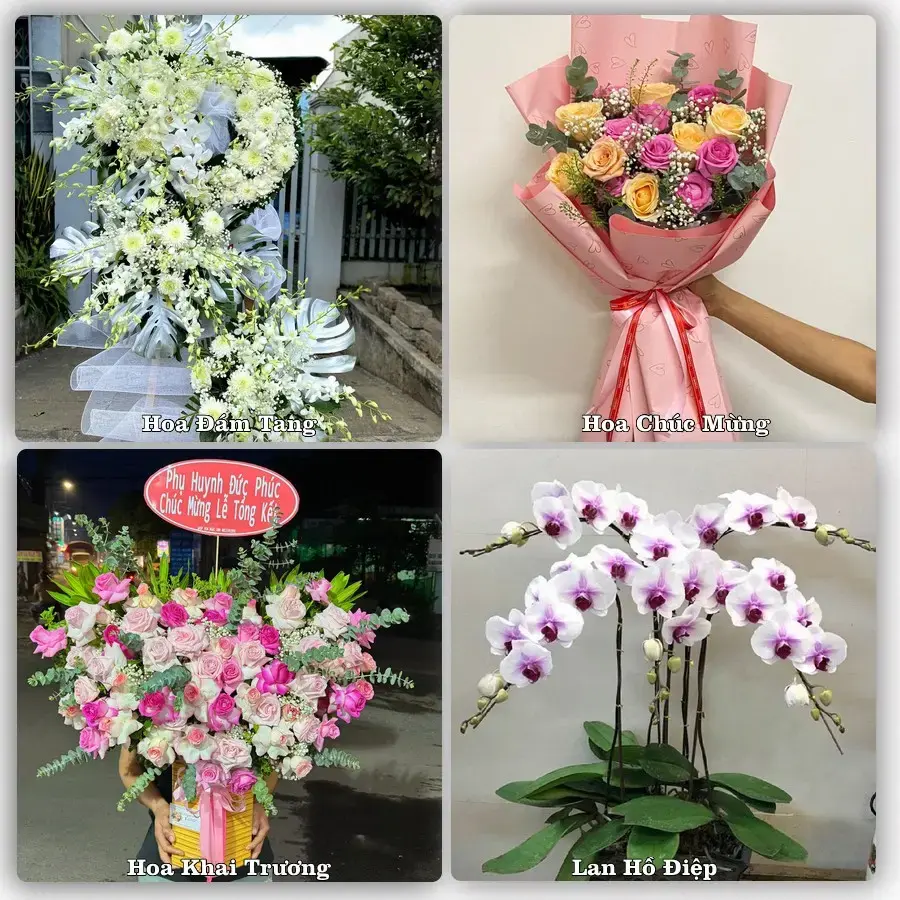 Điện hoa Xã Đức Hòa, Tây Ninh – đặt online, xem hình trước khi giao