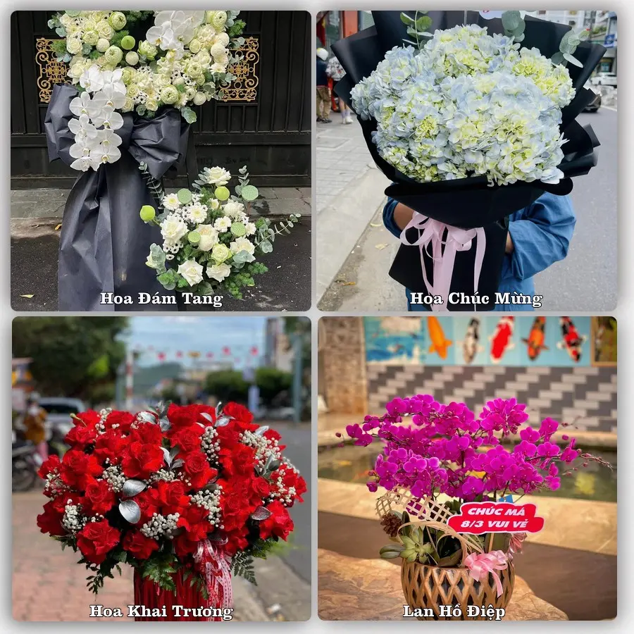 Tư vấn chọn hoa theo người nhận và dịp tặng tại Xã Đức Hòa - Tỉnh Tây Ninh
