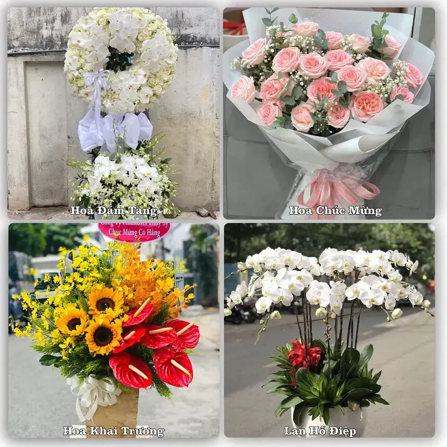 Shop hoa tươi Phường Hòa Bình, Hải Phòng – đặt hoa theo dịp, giao tận nơi