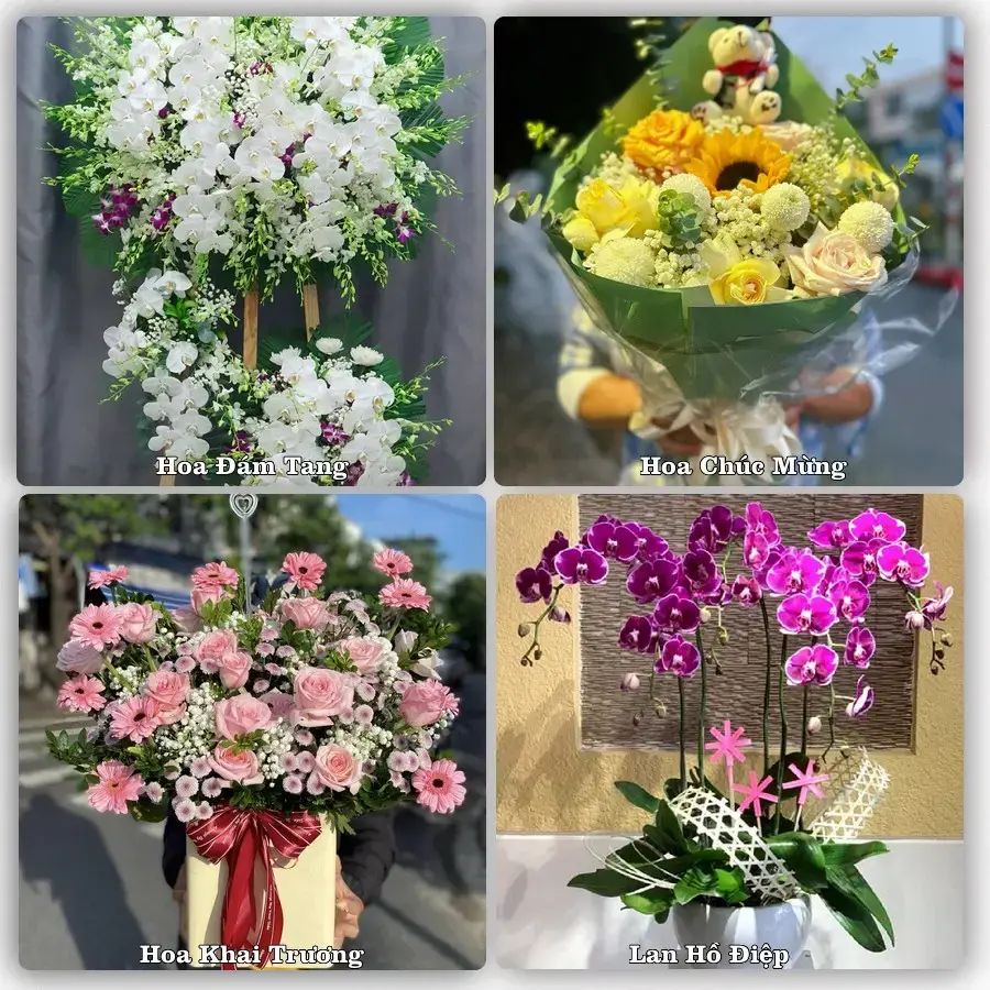 Tư vấn chọn hoa theo người nhận và dịp tặng tại Phường Hòa Bình - Thành phố Hải Phòng