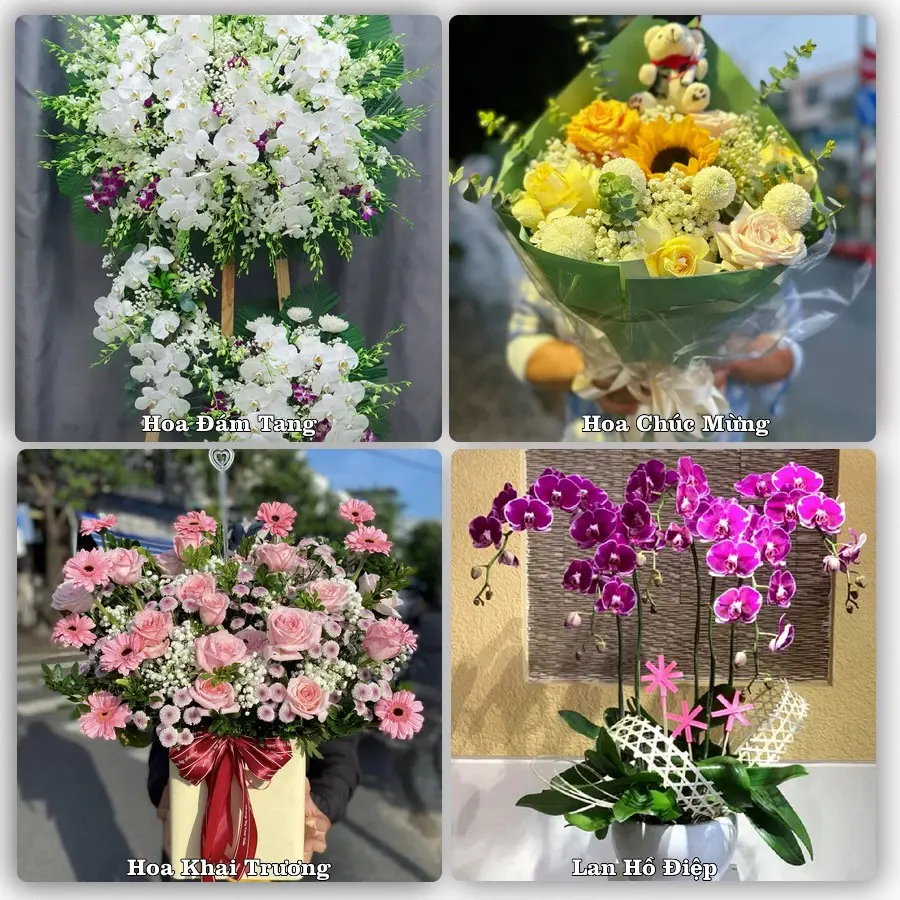 Tư vấn chọn hoa theo người nhận và dịp tặng tại Phường Hòa Bình - Thành phố Hải Phòng