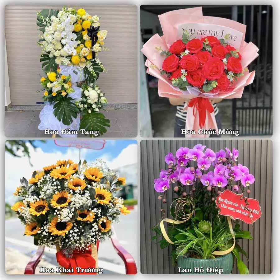 Mẫu hoa phục vụ nhu cầu đặt hoa tại Xã Kép - Tỉnh Bắc Ninh
