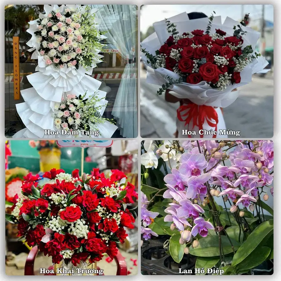 Điện hoa Phường Phong Châu, Phú Thọ – đặt online, xem hình trước khi giao