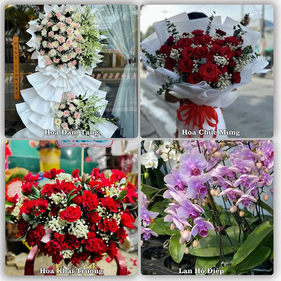 Mẫu hoa phục vụ nhu cầu đặt hoa tại Phường Phong Châu - Tỉnh Phú Thọ