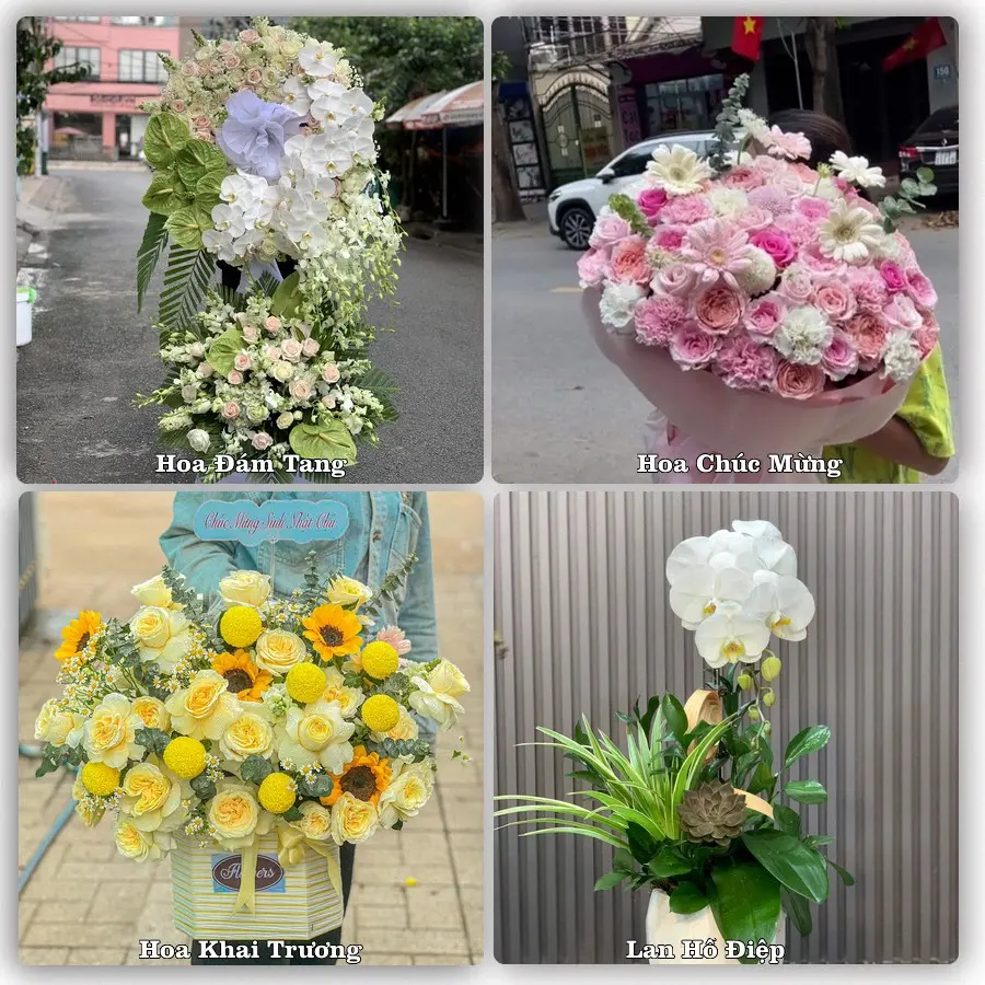 Tư vấn chọn hoa theo người nhận và dịp tặng tại Phường Phong Châu - Tỉnh Phú Thọ