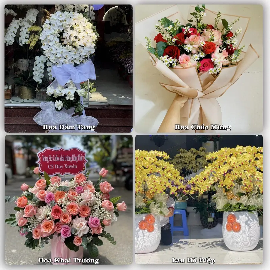Dịch vụ đặt hoa và giao tận nơi tại Xã Tân Kỳ - Thành phố Hải Phòng