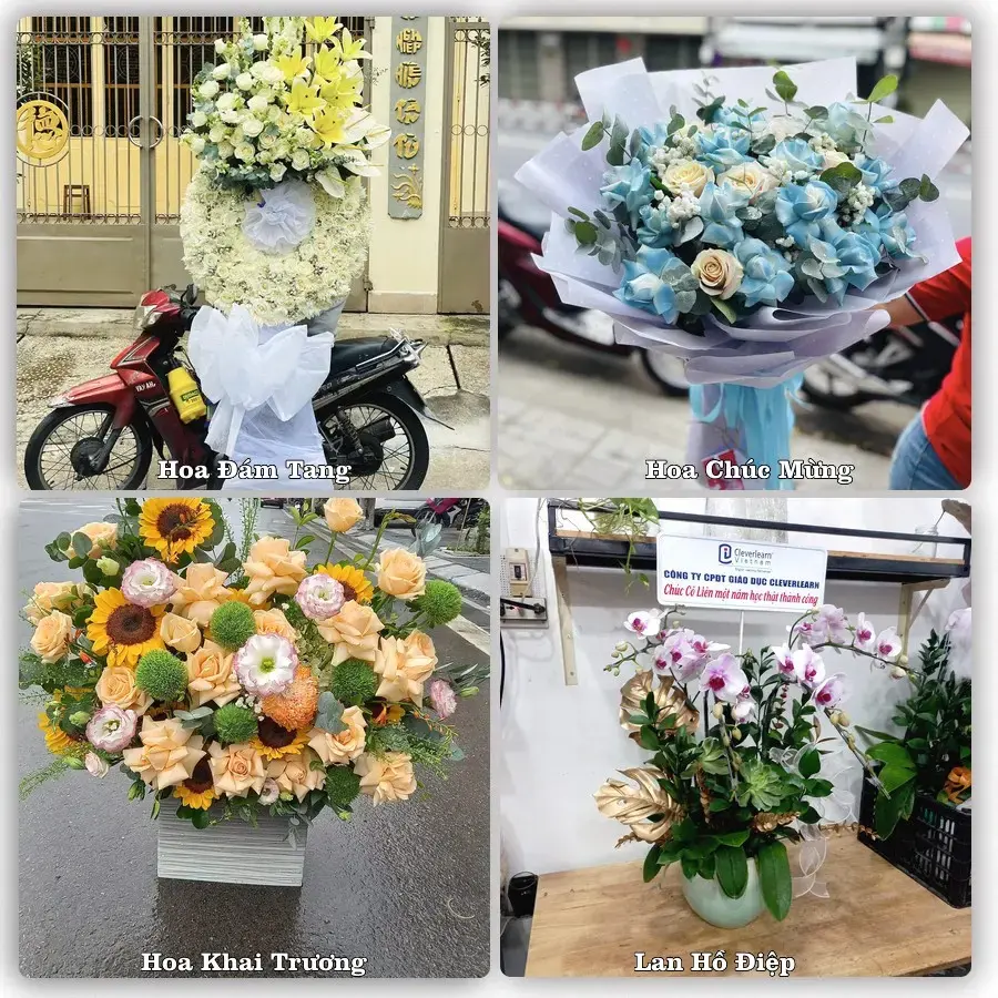 Tư vấn chọn hoa theo người nhận và dịp tặng tại Xã Tân Kỳ - Thành phố Hải Phòng