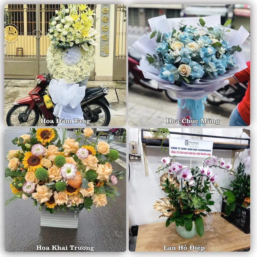 Tư vấn chọn hoa theo người nhận và dịp tặng tại Xã Tân Kỳ - Thành phố Hải Phòng