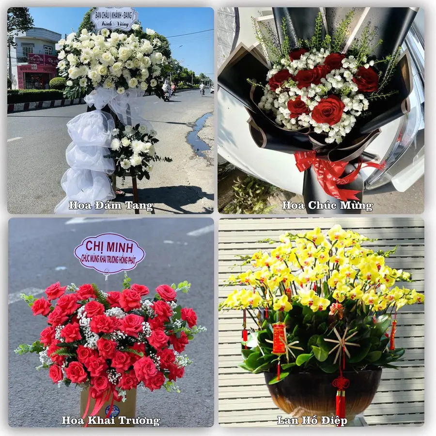 Tư vấn chọn hoa theo người nhận và dịp tặng tại Xã Tân Tập - Tỉnh Tây Ninh