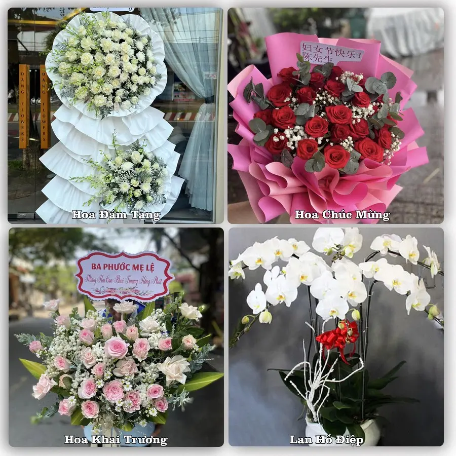 Tư vấn chọn hoa theo người nhận và dịp tặng tại Phường Thanh Đức - Tỉnh Vĩnh Long