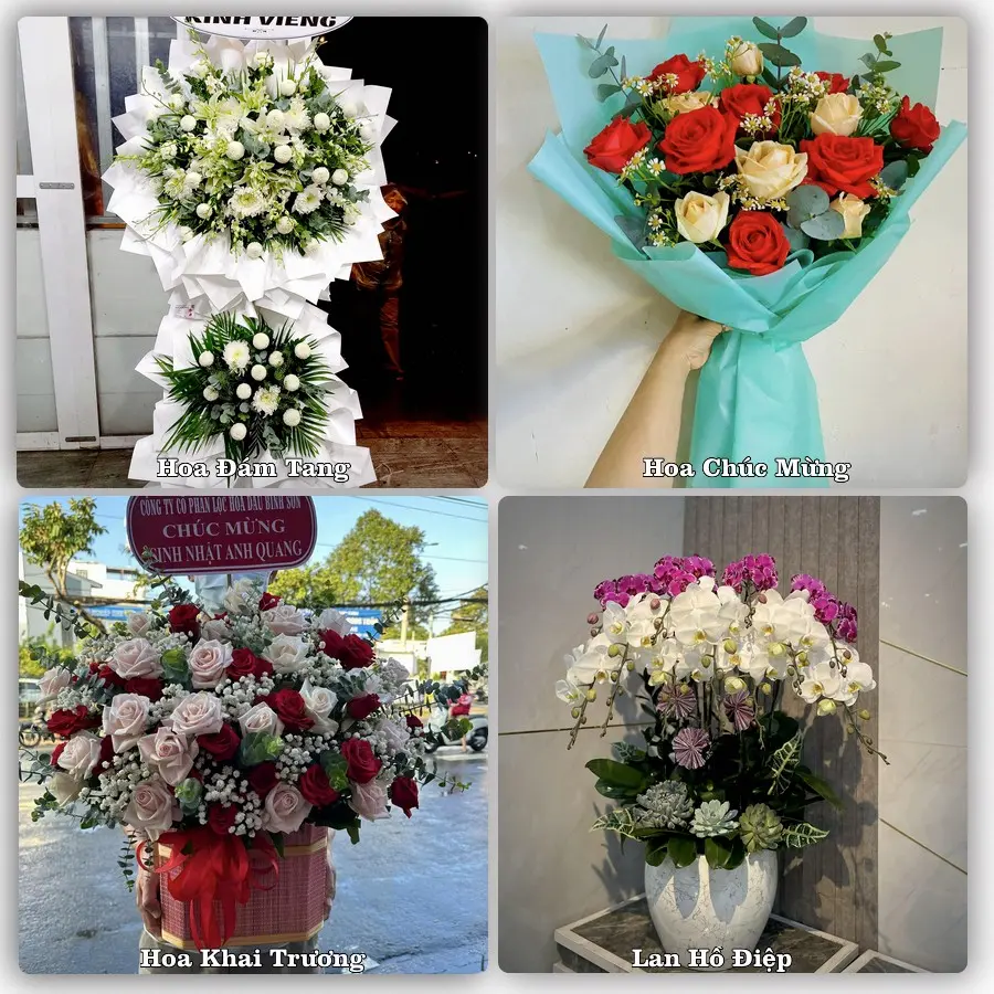Dịch vụ đặt hoa và giao tận nơi tại Xã Trần Phú - Thành phố Hà Nội