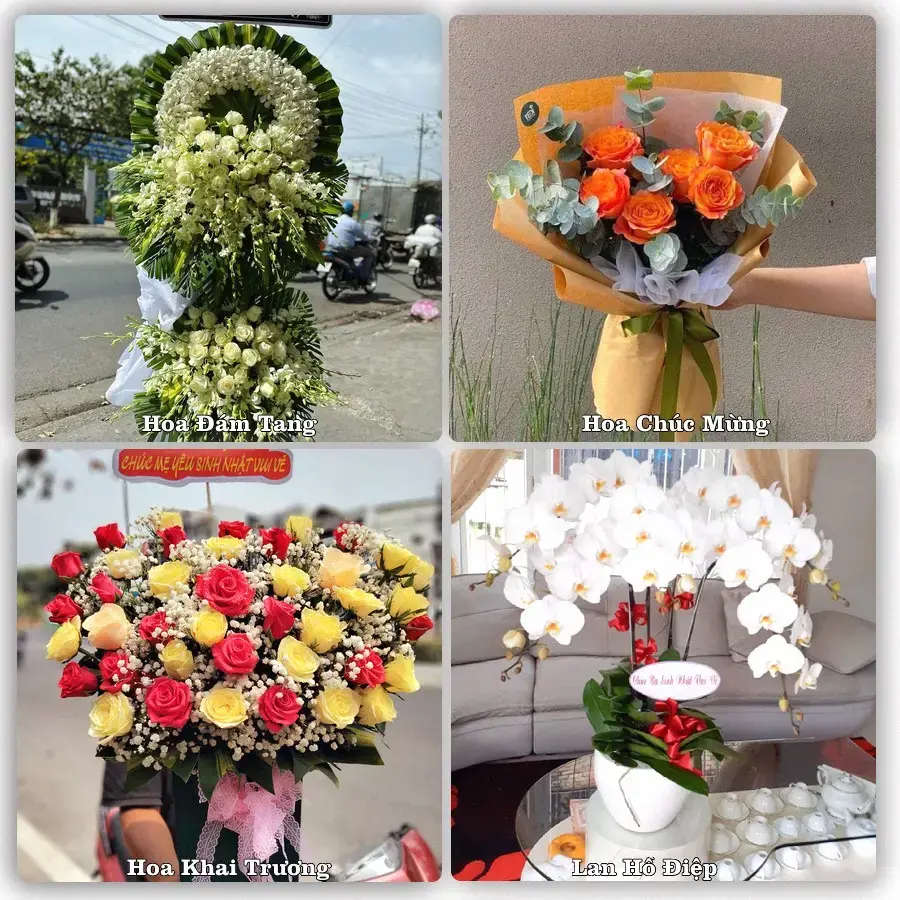 Tư vấn chọn hoa theo người nhận và dịp tặng tại Xã Đức Thọ - Tỉnh Hà Tĩnh
