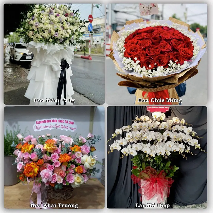 Mẫu hoa phục vụ nhu cầu đặt hoa tại Phường Khánh Hậu - Tỉnh Tây Ninh