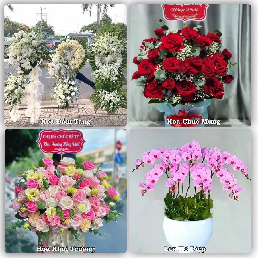 Tư vấn chọn hoa theo người nhận và dịp tặng tại Phường Khánh Hậu - Tỉnh Tây Ninh