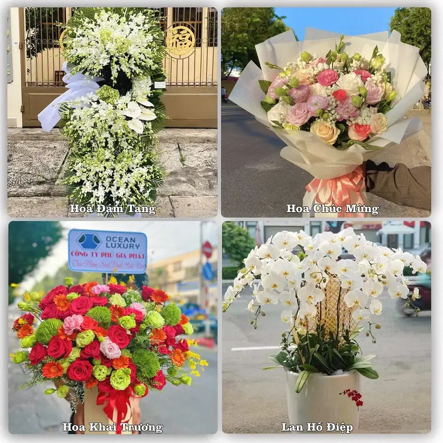 Hoa tươi Xã Long Định, Đồng Tháp – mẫu hoa theo dịp, giá tham khảo