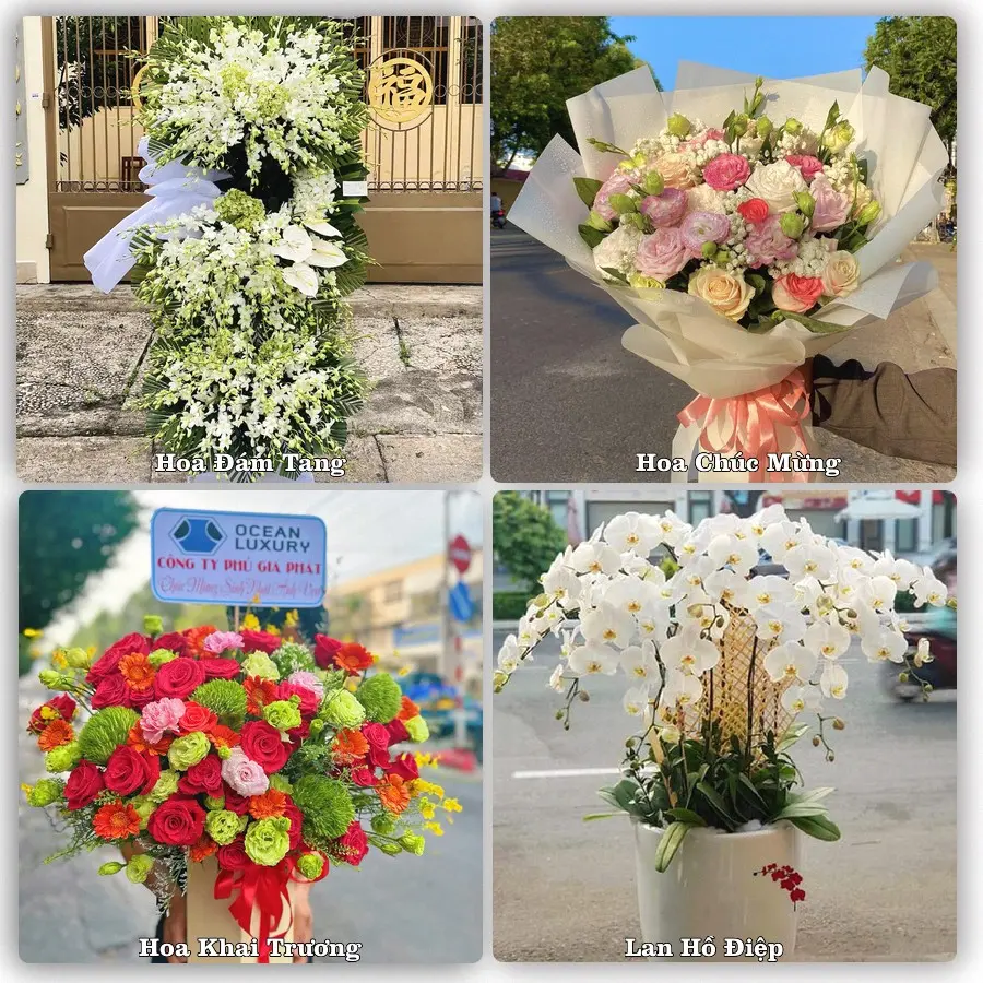 Mẫu hoa phục vụ nhu cầu đặt hoa tại Xã Long Định - Tỉnh Đồng Tháp