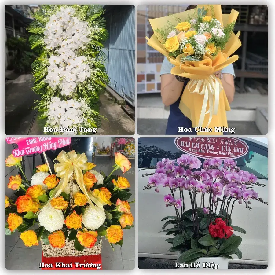 Hoa tươi Xã Long Khánh, Đồng Tháp – mẫu hoa theo dịp, giá tham khảo