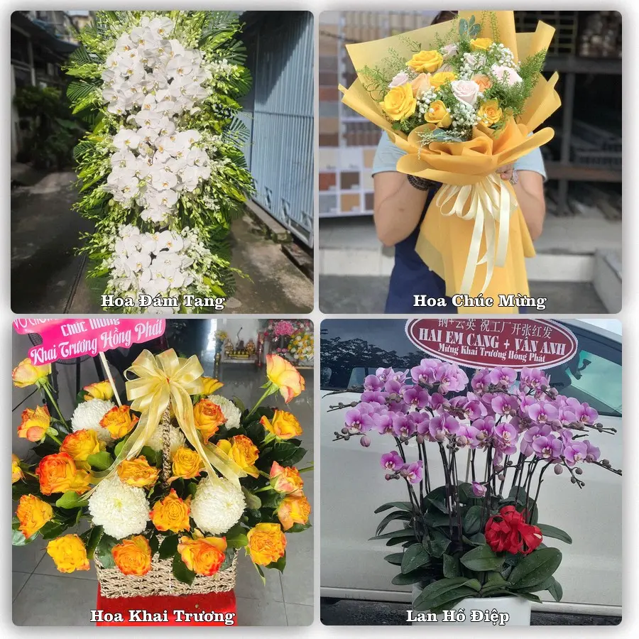 Mẫu hoa phục vụ nhu cầu đặt hoa tại Xã Long Khánh - Tỉnh Đồng Tháp