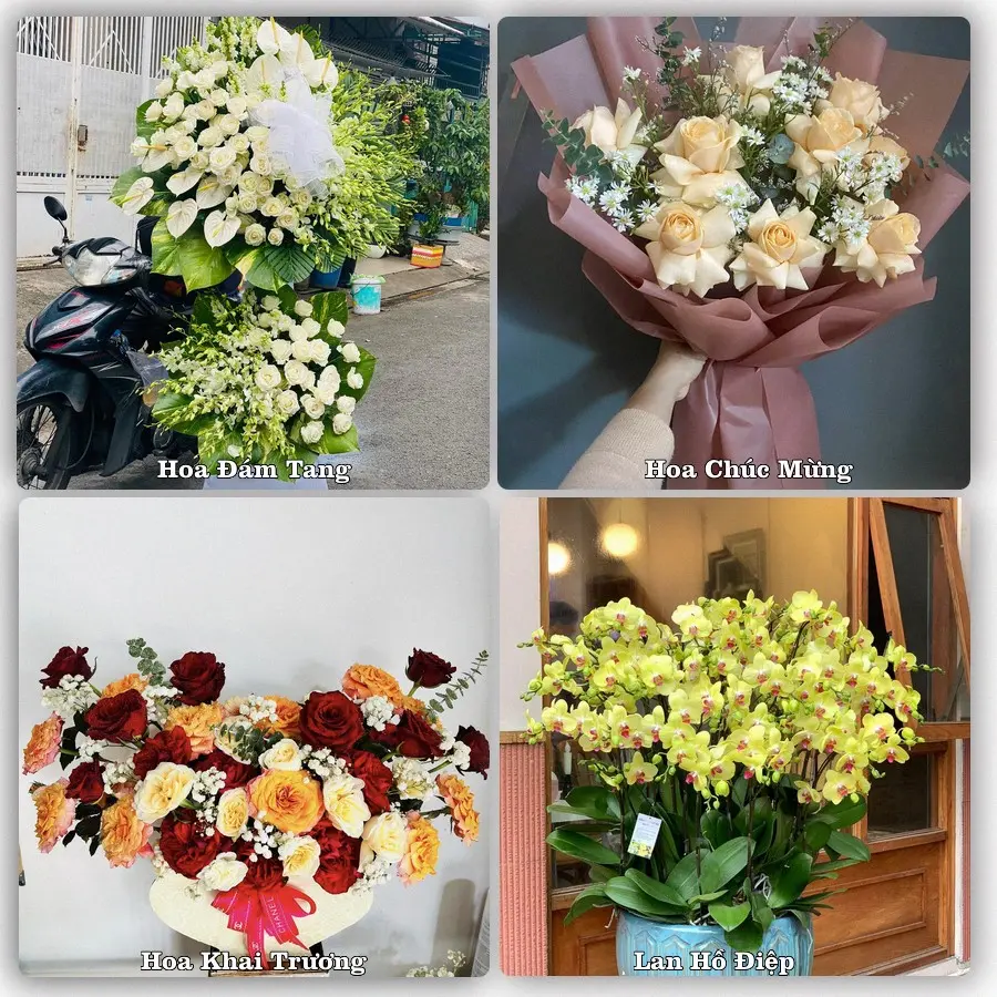 Tư vấn chọn hoa theo người nhận và dịp tặng tại Xã Mê Linh - Thành phố Hà Nội