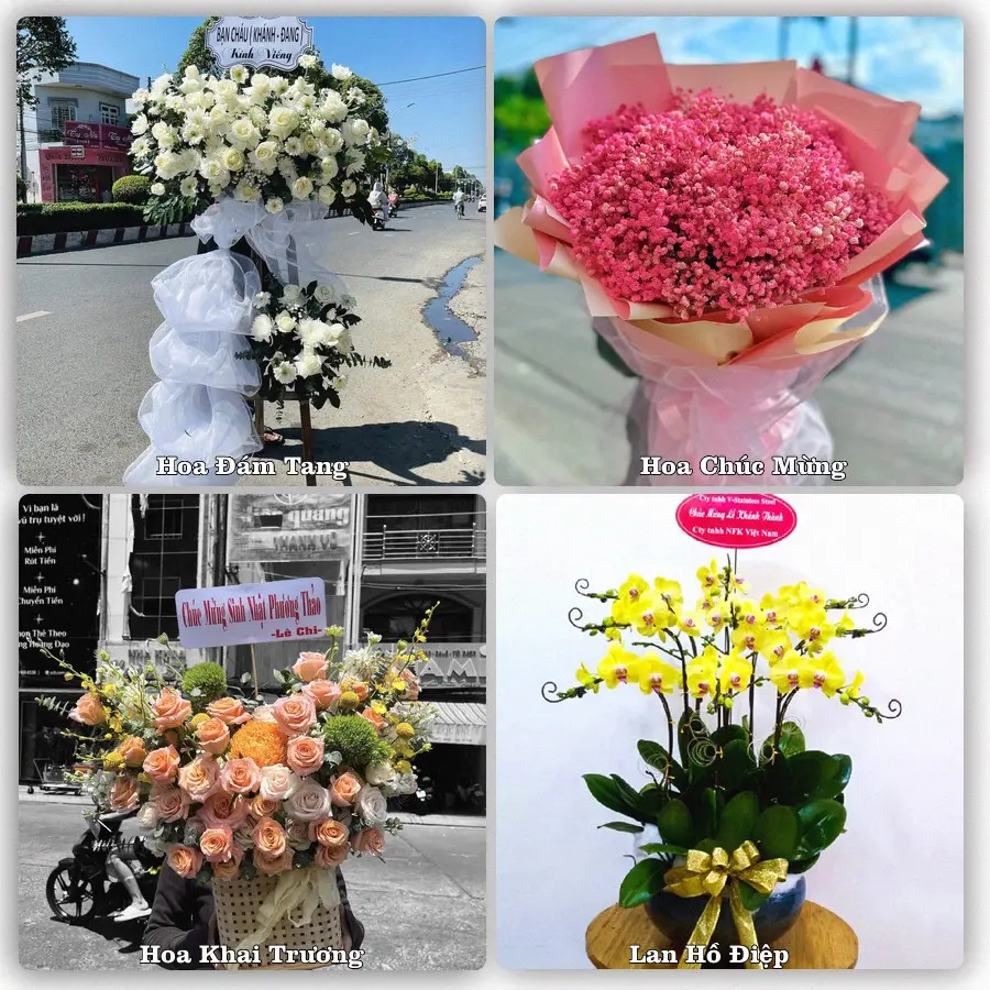 Dịch vụ đặt hoa và giao tận nơi tại Phường Mỹ Lộc - Tỉnh Ninh Bình