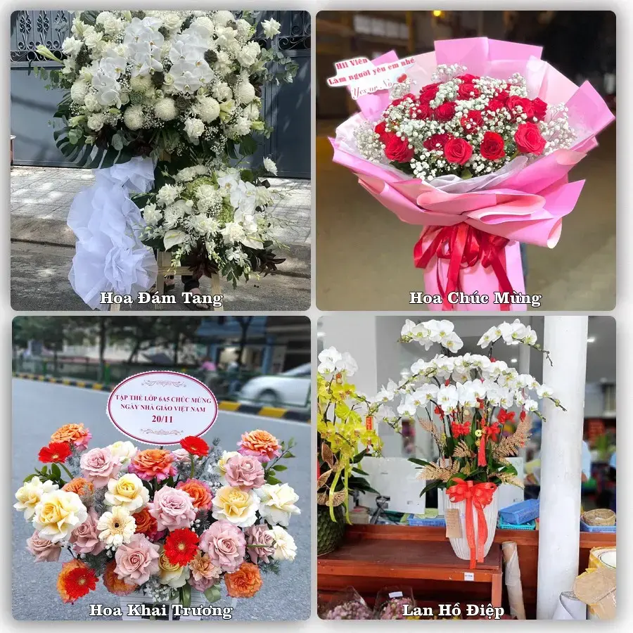 Hoa tươi Phường Mỹ Lộc, Ninh Bình – mẫu hoa theo dịp, giá tham khảo