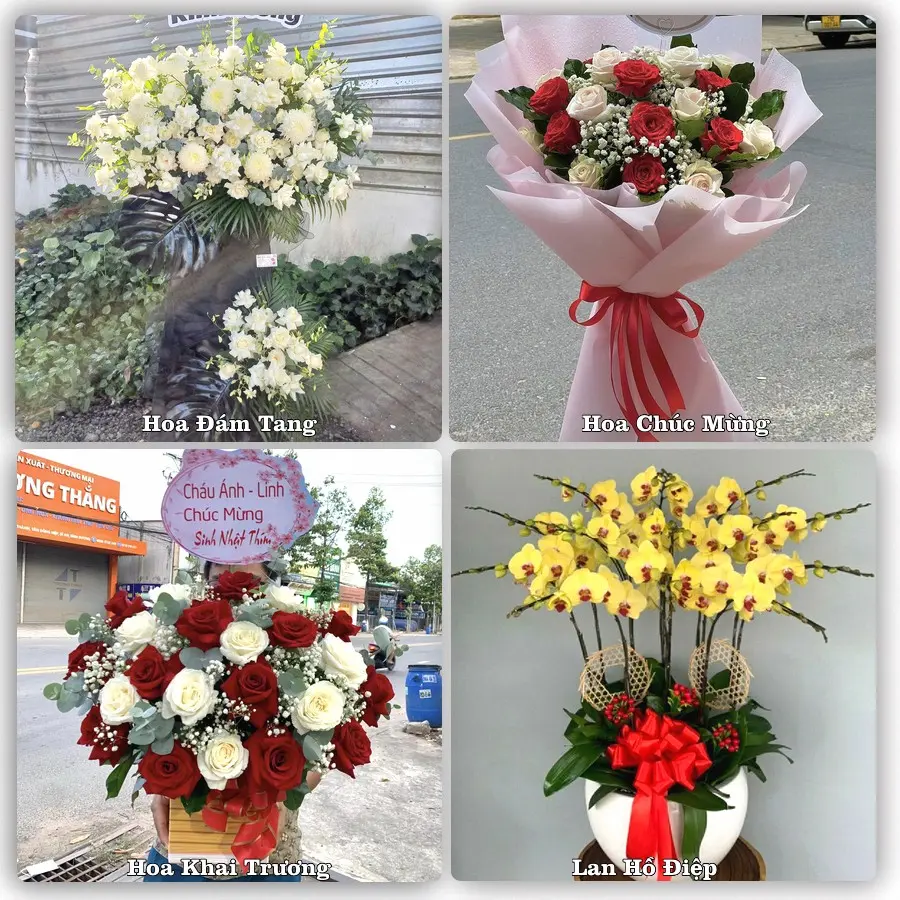 Tư vấn chọn hoa theo người nhận và dịp tặng tại Phường Mỹ Lộc - Tỉnh Ninh Bình