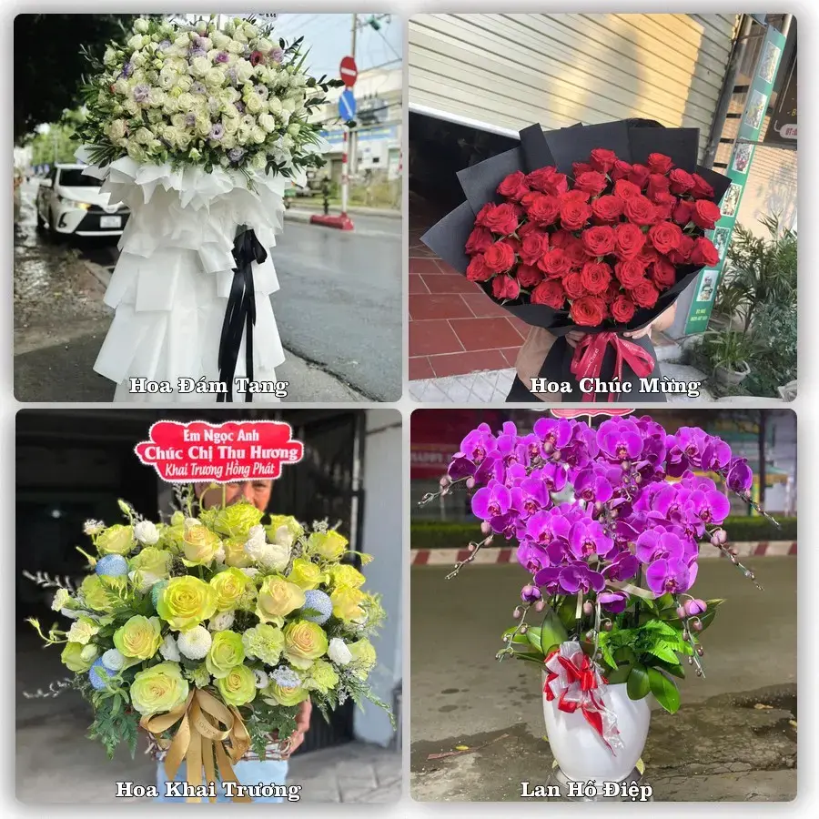 Hoa tươi Phường Phú Khương, Vĩnh Long – mẫu hoa theo dịp, giá tham khảo