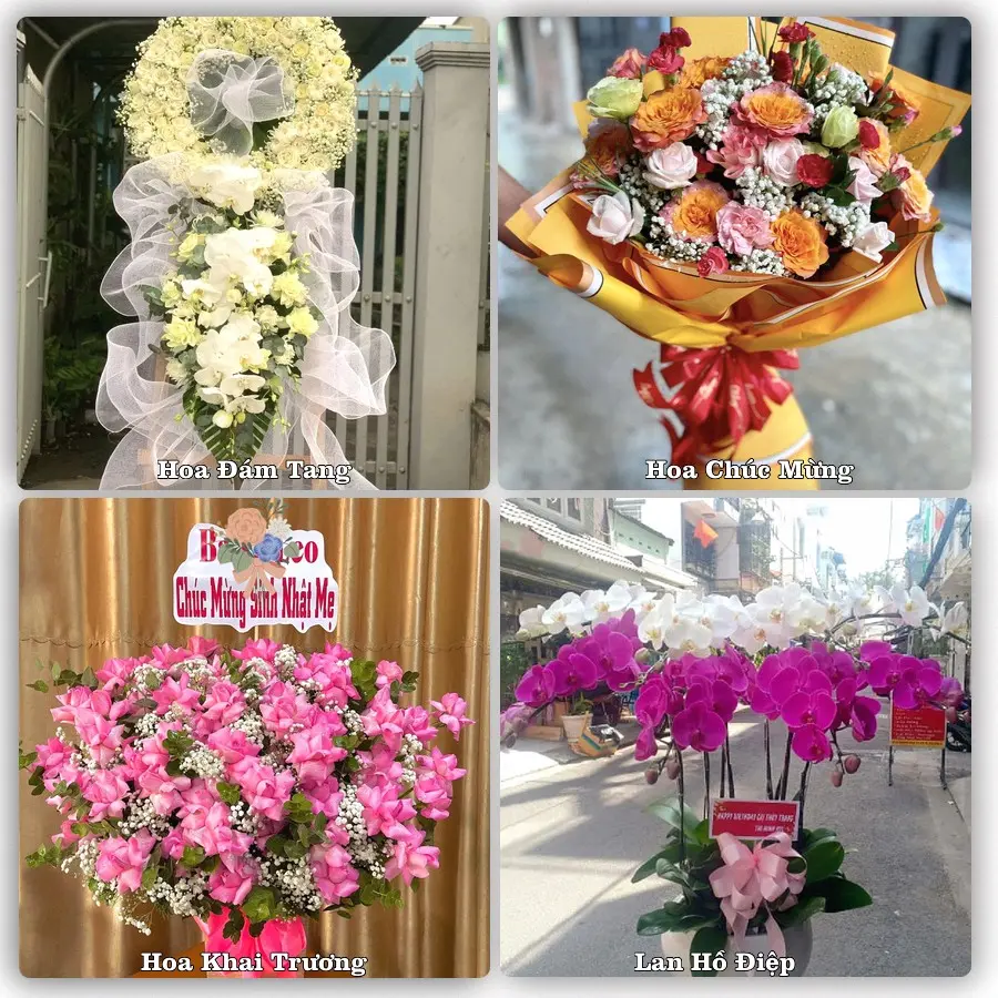 Tư vấn chọn hoa theo người nhận và dịp tặng tại Phường Phú Khương - Tỉnh Vĩnh Long