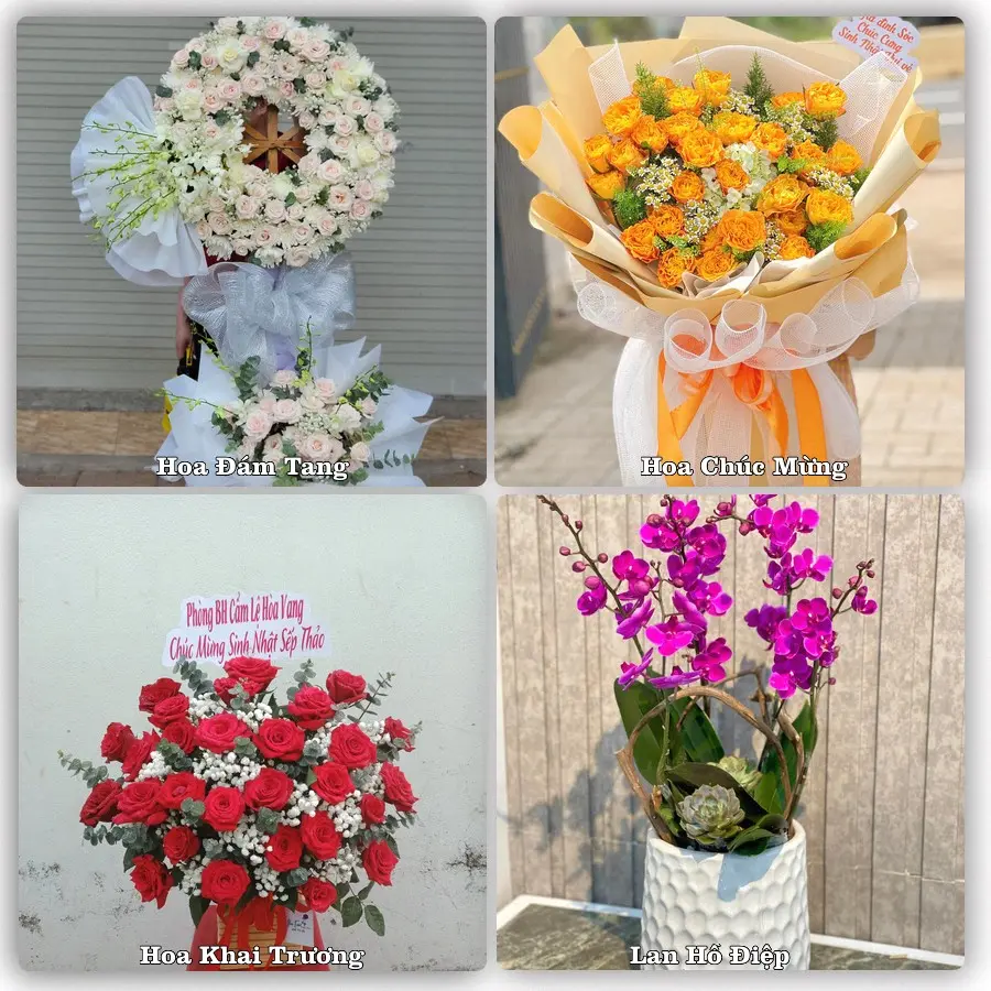 Tư vấn chọn hoa theo người nhận và dịp tặng tại Xã Phúc Thọ - Thành phố Hà Nội