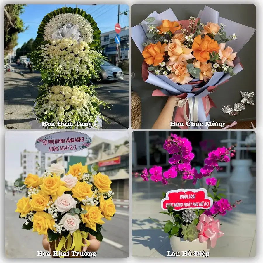 Hoa tươi Phường Phước Hội, Lâm Đồng – mẫu hoa theo dịp, giá tham khảo