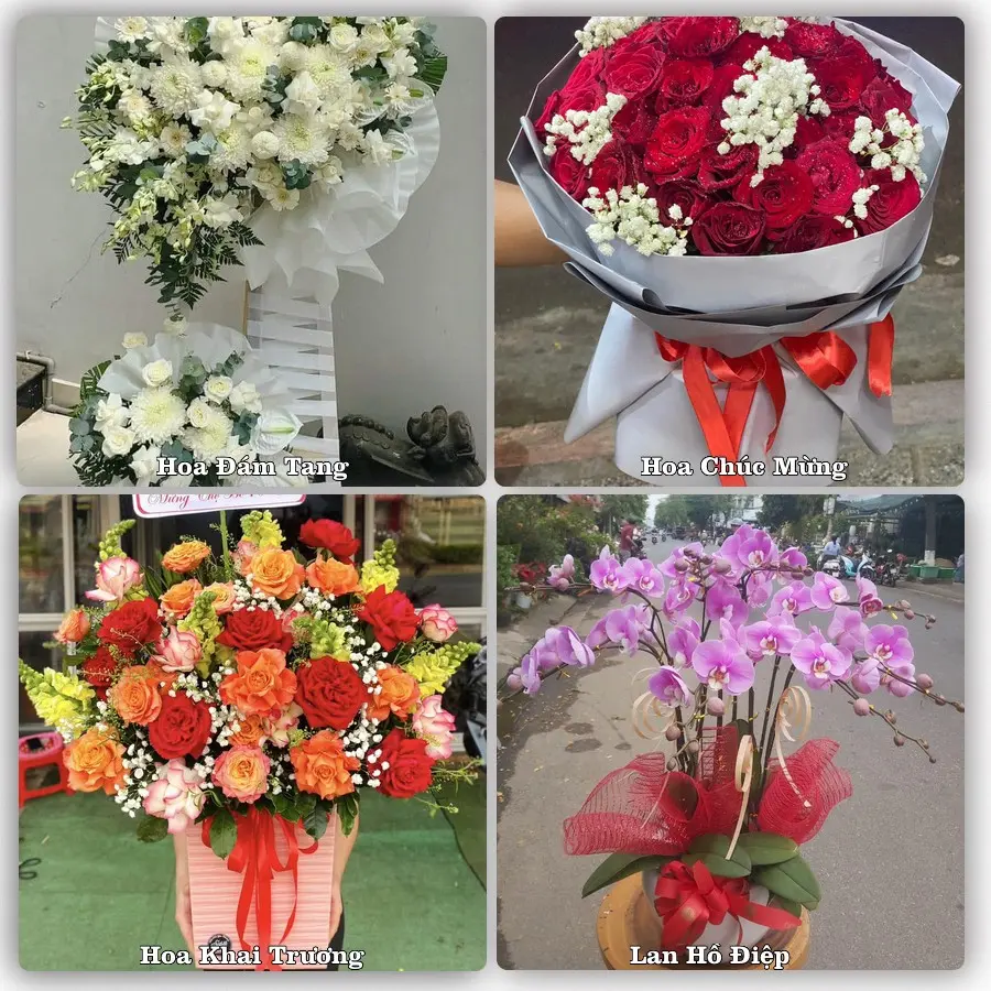 Tư vấn chọn hoa theo người nhận và dịp tặng tại Phường Phước Hội - Tỉnh Lâm Đồng