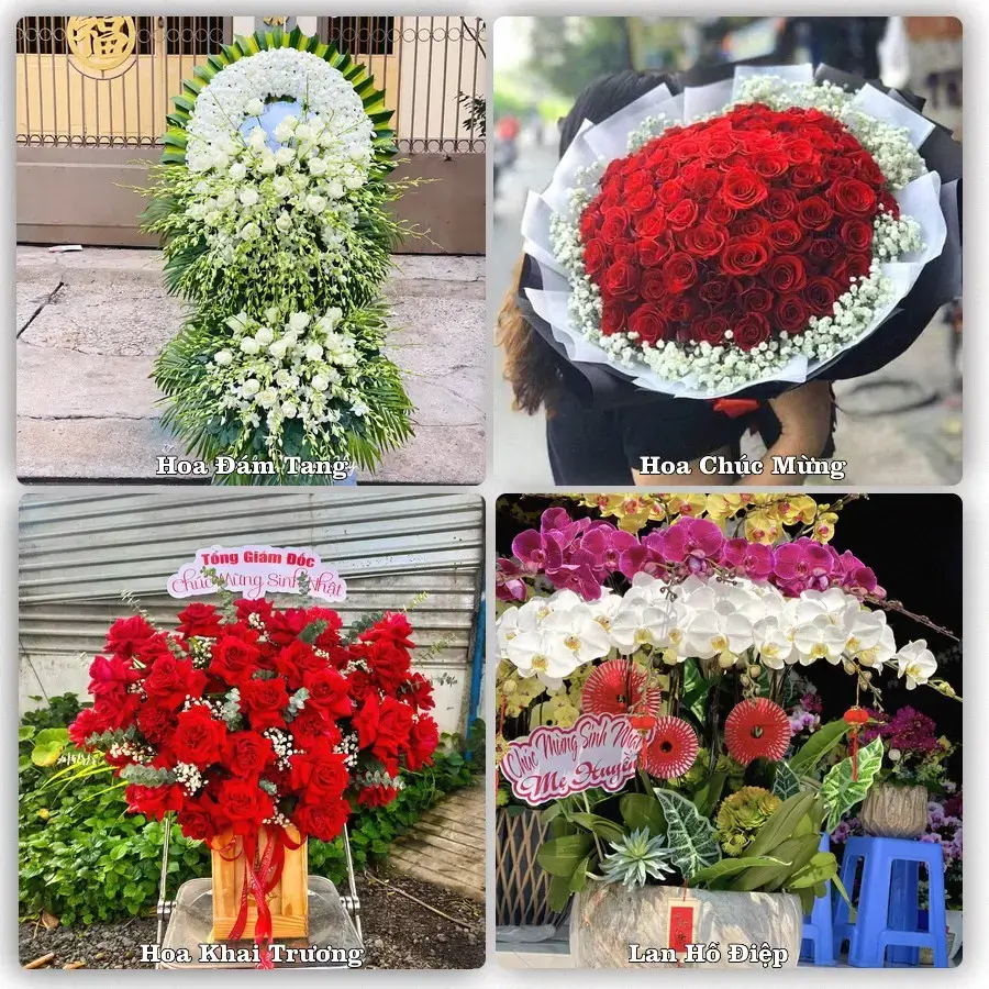 Hoa tươi Xã Thăng An, Đà Nẵng – mẫu hoa theo dịp, giá tham khảo