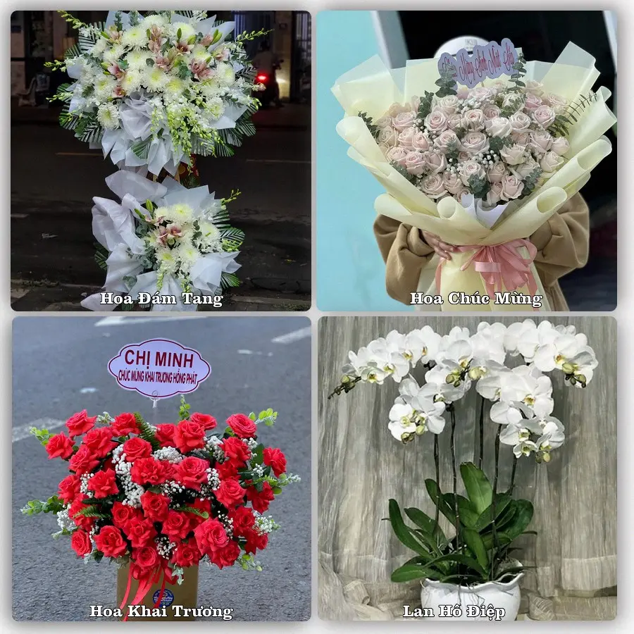 Dịch vụ đặt hoa và giao tận nơi tại Xã Vạn Thắng - Tỉnh Ninh Bình