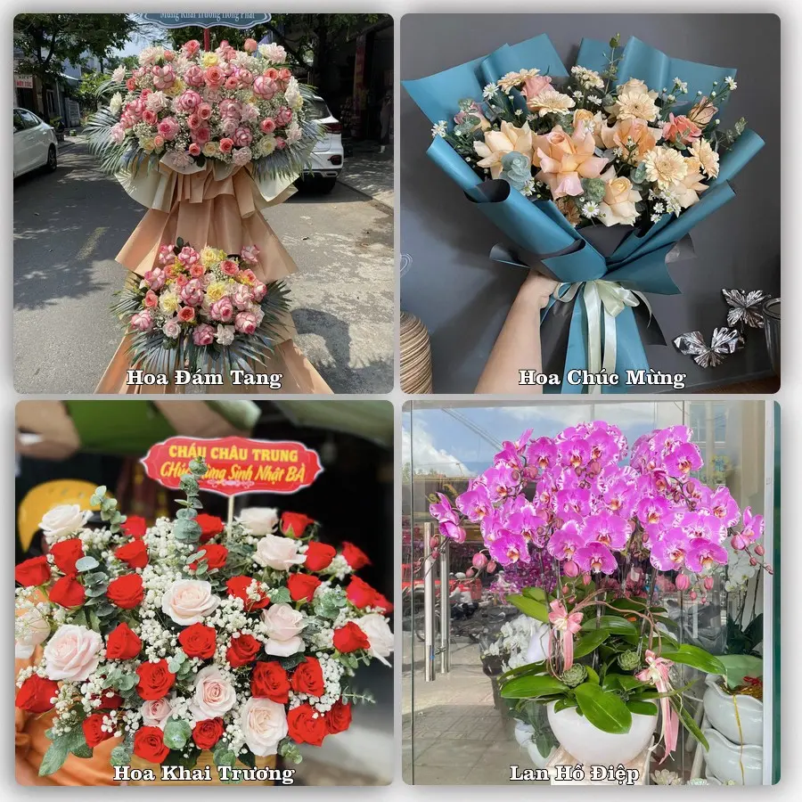 Tư vấn chọn hoa theo người nhận và dịp tặng tại Xã Vạn Thắng - Tỉnh Ninh Bình