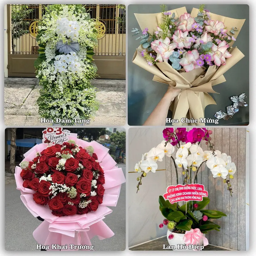 Mẫu hoa phục vụ nhu cầu đặt hoa tại Phường Bình Long - Tỉnh Đồng Nai
