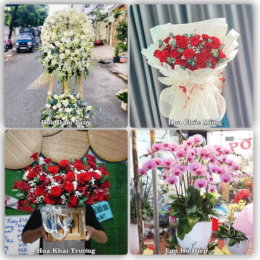 Tư vấn chọn hoa theo người nhận và dịp tặng tại Xã Cẩm Giàng - Thành phố Hải Phòng
