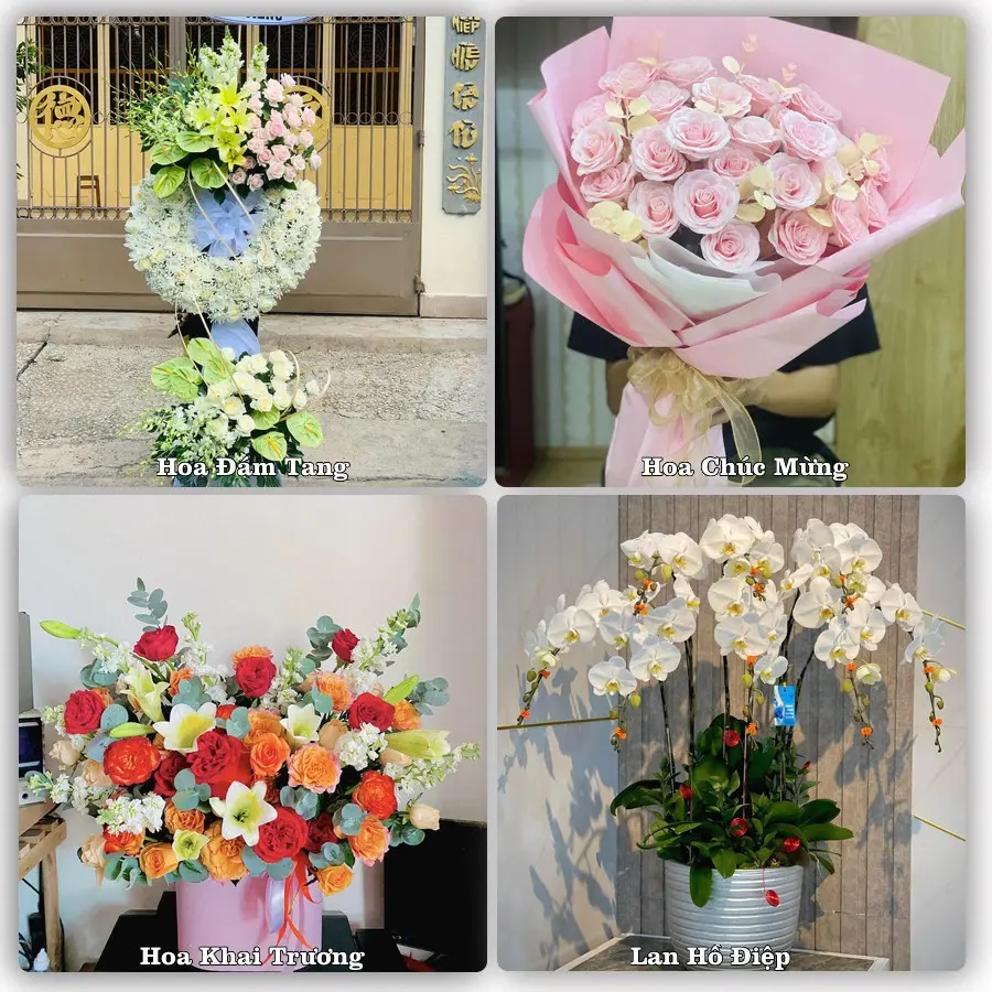 Dịch vụ đặt hoa và giao tận nơi tại Xã Đoài Phương - Thành phố Hà Nội