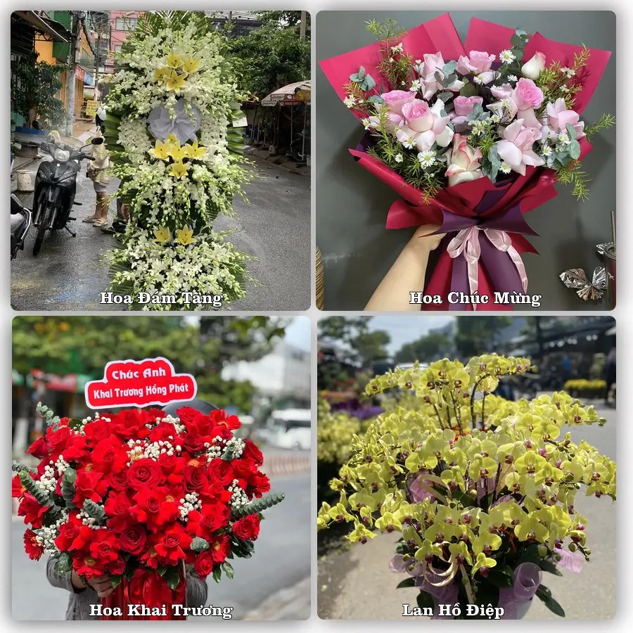 Tư vấn chọn hoa theo người nhận và dịp tặng tại Xã Đoài Phương - Thành phố Hà Nội