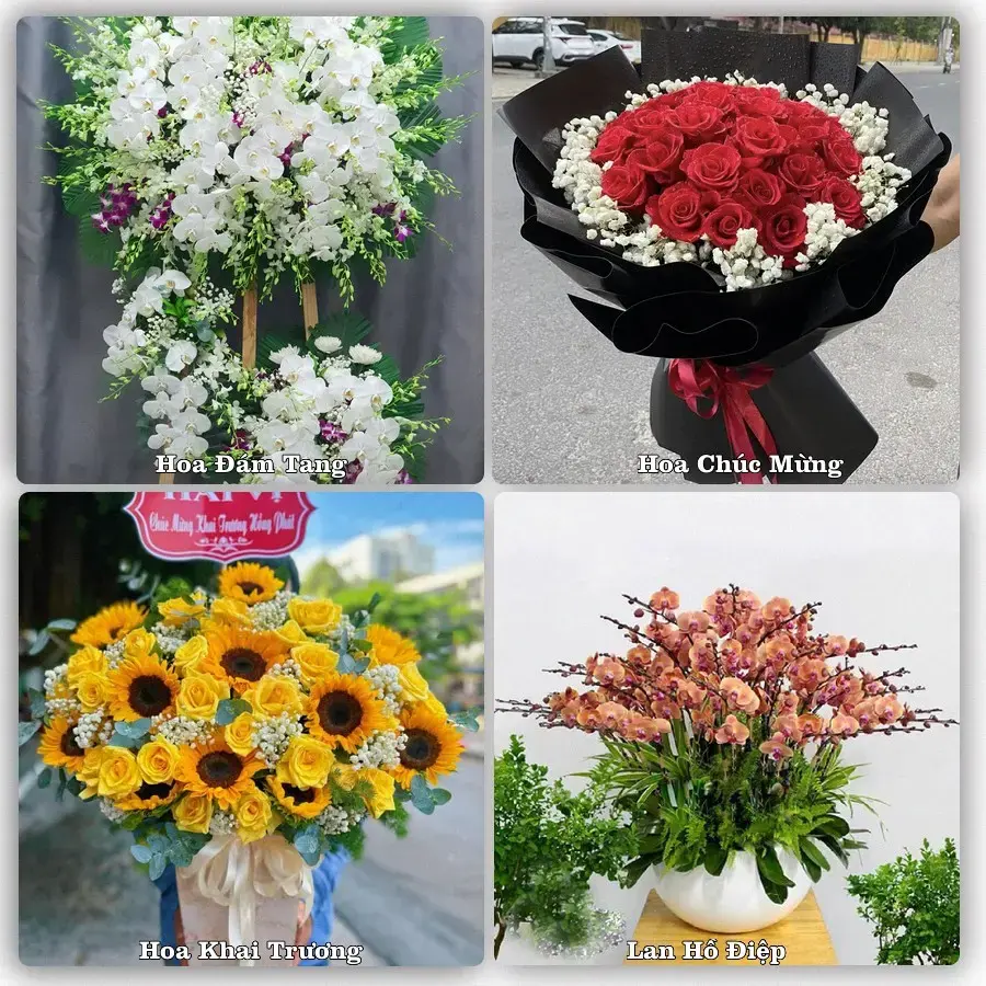 Dịch vụ đặt hoa và giao tận nơi tại Phường Hà Tiên - Tỉnh An Giang