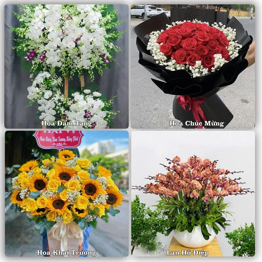 Dịch vụ đặt hoa và giao tận nơi tại Phường Hà Tiên - Tỉnh An Giang